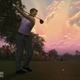 Illustration for article titled Six Reviewers Consider emTiger Woods PGA Tour 14/em A Worthy Sequel